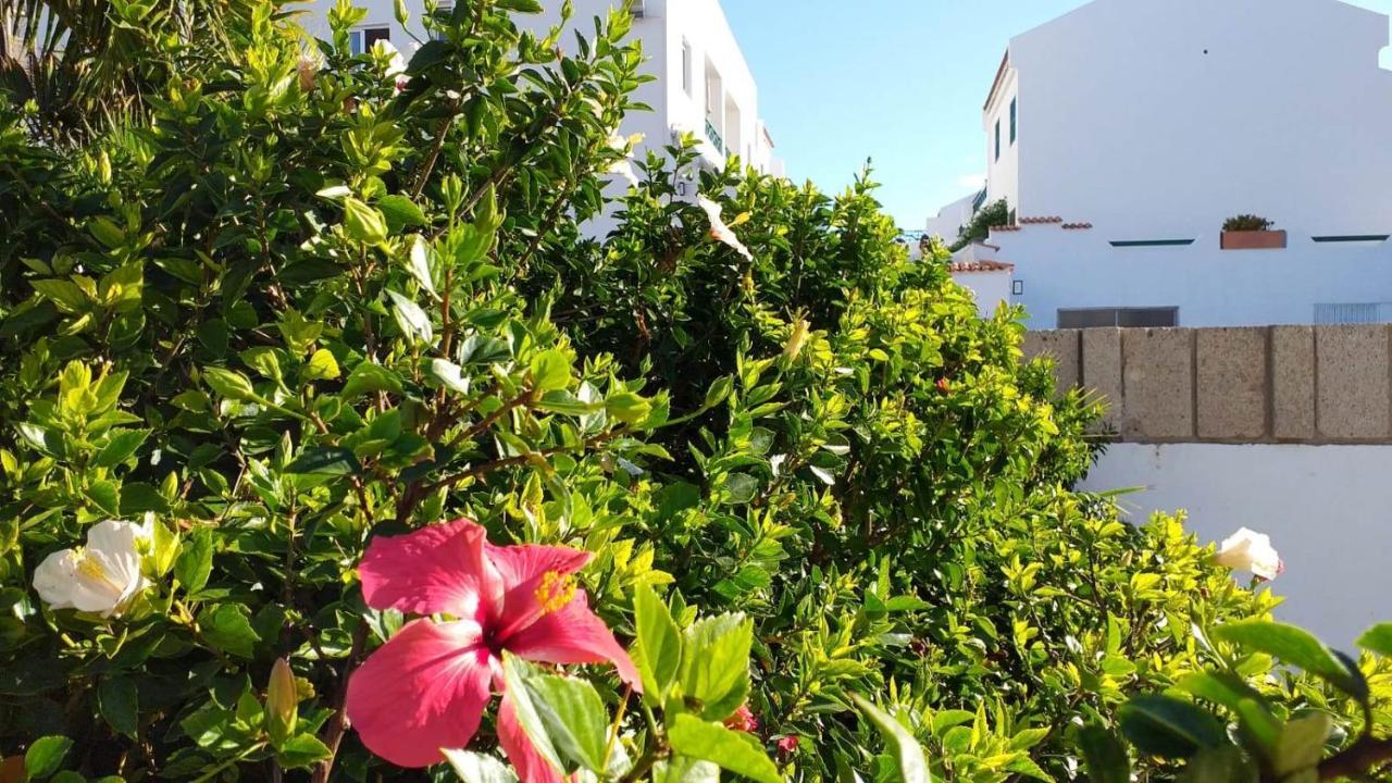 Parque Don Jose, Casa Antonella Коста дел Силенцио Екстериор снимка